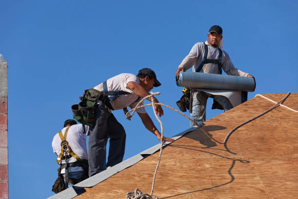 Best Flat Roof Repair Services  in St Joseph, MI
